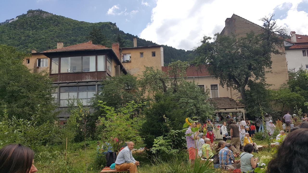 Mountain Tale Vandrerhjem Braşov Eksteriør bilde