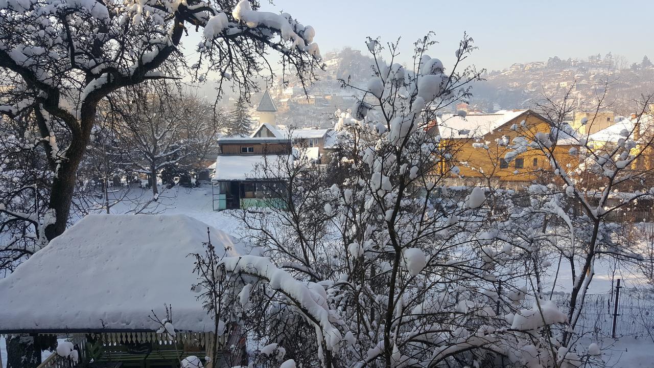 Mountain Tale Vandrerhjem Braşov Rom bilde