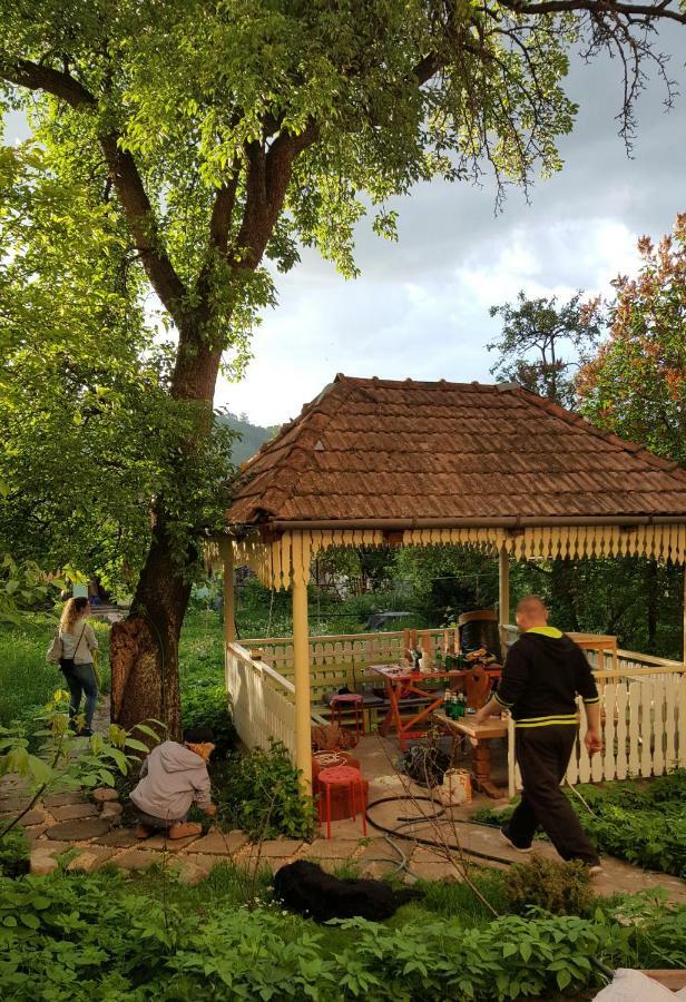 Mountain Tale Vandrerhjem Braşov Eksteriør bilde