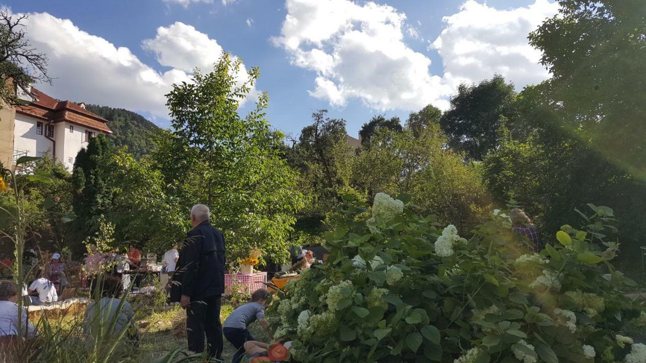 Mountain Tale Vandrerhjem Braşov Eksteriør bilde