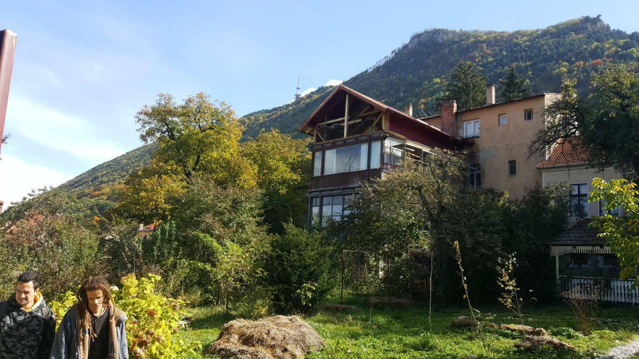 Mountain Tale Vandrerhjem Braşov Eksteriør bilde
